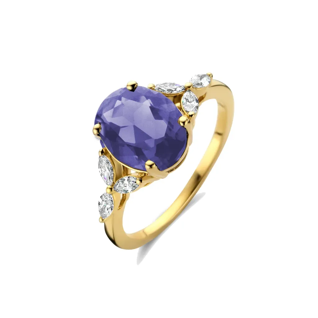 Bague Sélection Cosyns en Or Jaune 18 carats 064440/TA