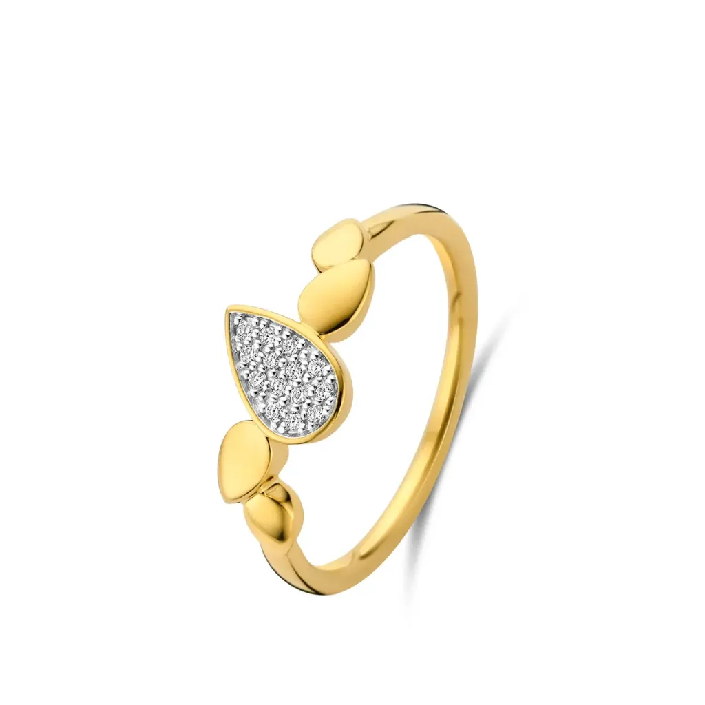 Bague Sélection Cosyns en Or Jaune 18 carats 068577/A